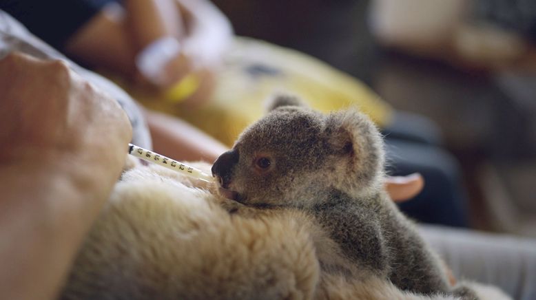 Australiens Meereswunder