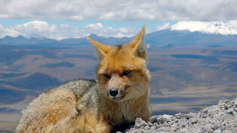 Ecuador, Hotspot der Artenvielfalt