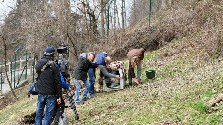 Hermann Maier: Meine Heimat - Naturjuwel Salzburg