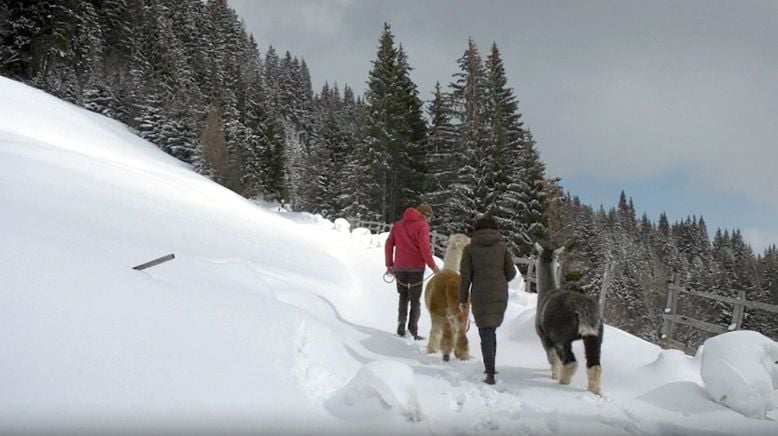 Bergwinter in Kleinarl