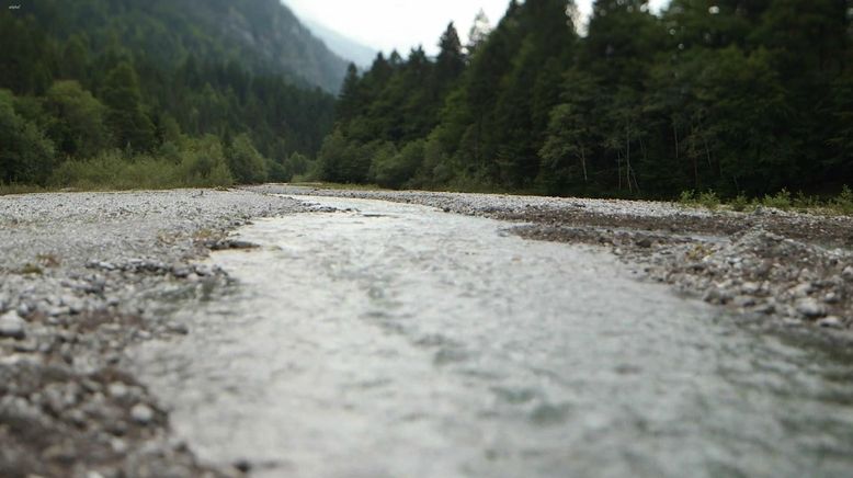 Der Kreislauf des Wassers