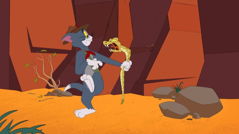 Die Tom und Jerry Show