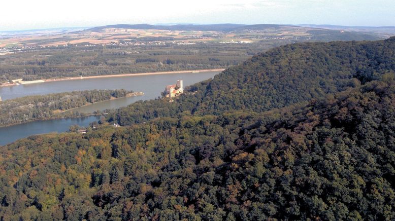 Wanderparadies Wienerwald