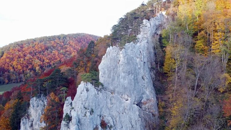 Wanderparadies Wienerwald