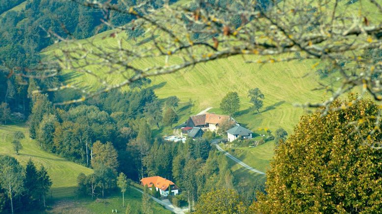 Wanderparadies Wienerwald