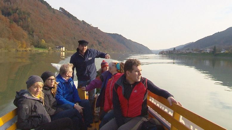 Abenteuer in der Wildnis - Naturschauspiele im Donauraum