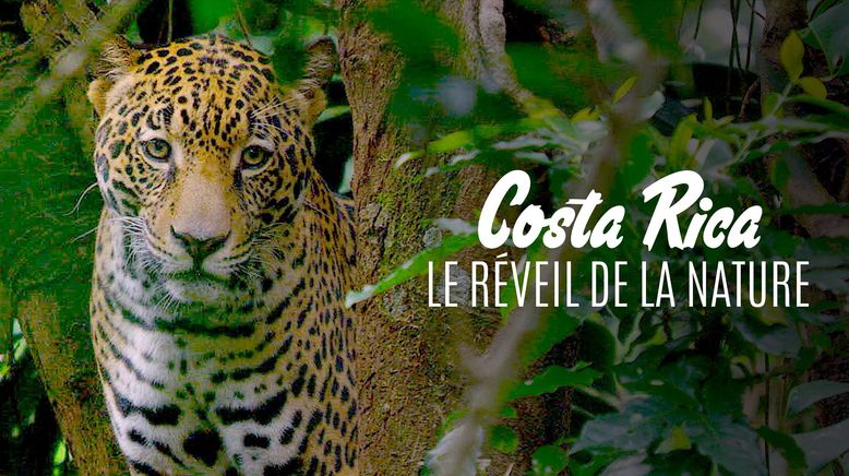 Costa Rica - Der Natur zur Seite stehen