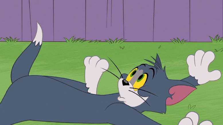 Die Tom und Jerry Show