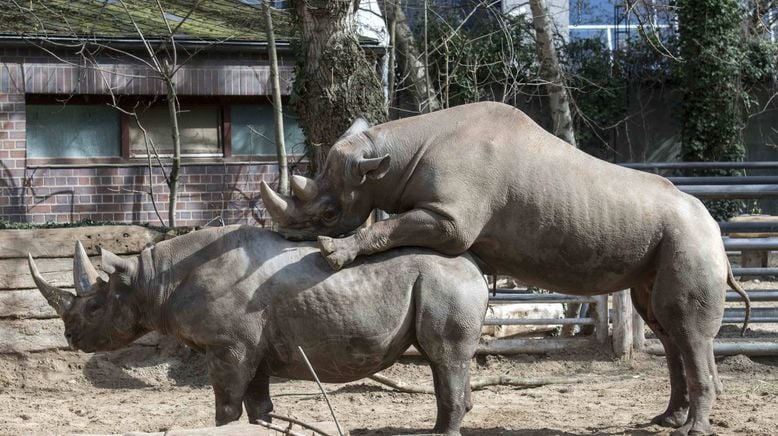 Zoo und so - Tierisch wild!