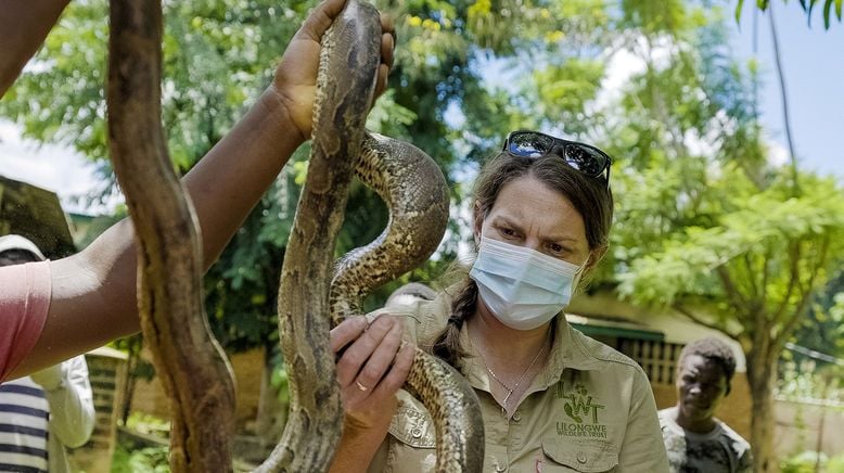 Malawi Wildlife-Rescue