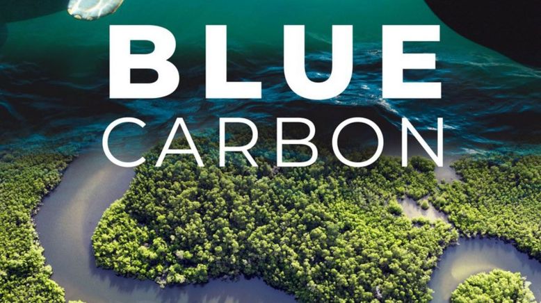 Blue Carbon - Die Superkraft der Natur