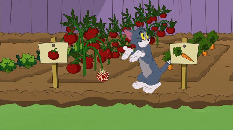 Die Tom und Jerry Show