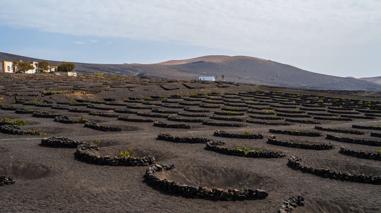 Lanzarote