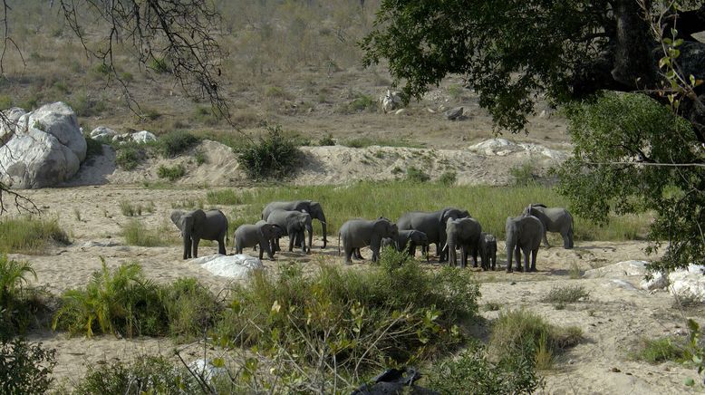 Wasserwelt Afrika