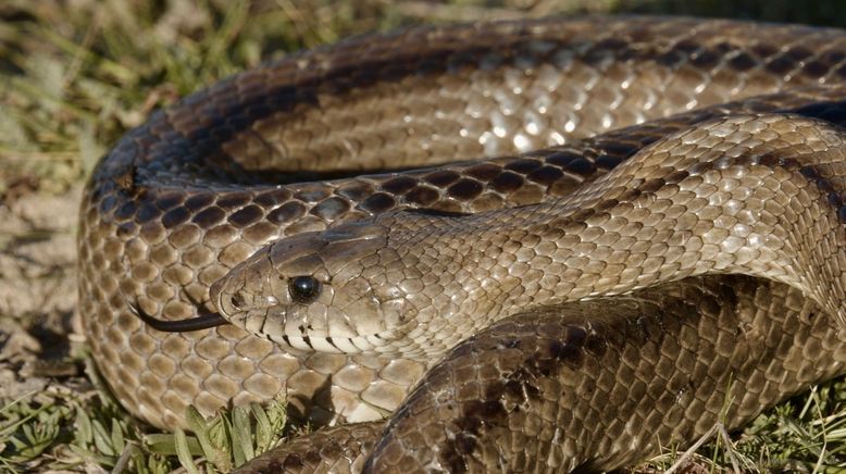 Europas verborgene Naturwunder