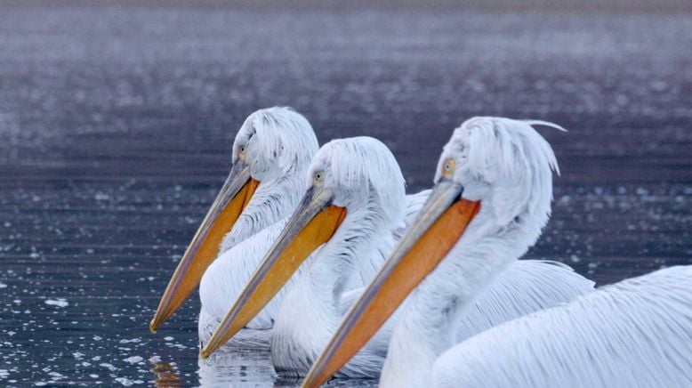 Europas verborgene Naturwunder