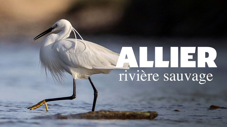 Allier, wilder Nebenfluss der Loire