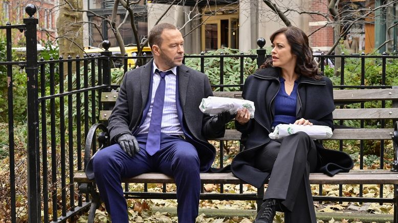 Blue Bloods - Crime Scene New York