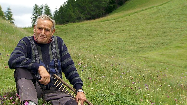 Rauf auf die Alm