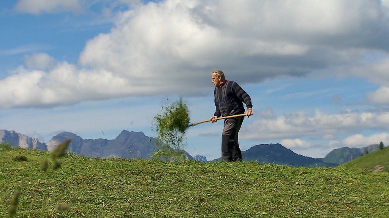 Rauf auf die Alm