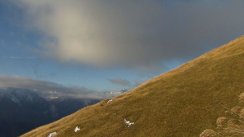 Rauf auf die Alm