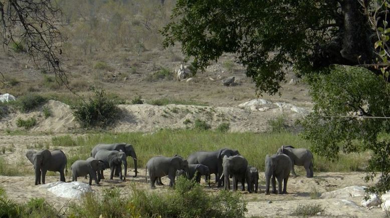 Wasserwelt Afrika