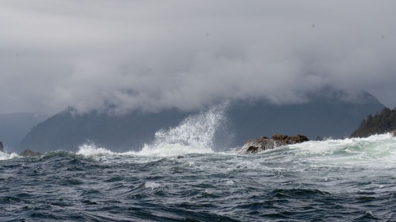 Islands: Die wilden Labore der Natur