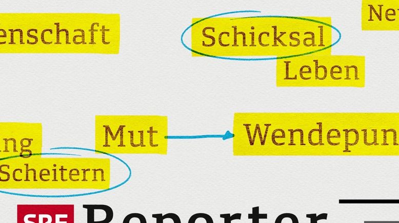 US-Wahlen 2024 - Wie Trump meine Schweiz-American Family spaltet