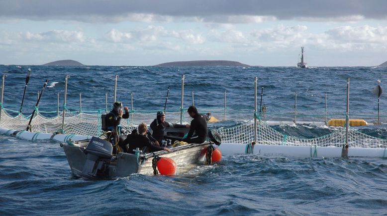 SOS Sydney - Einsatz vor der Küste