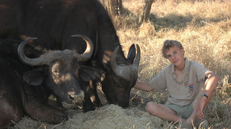 Tierische Freundschaften