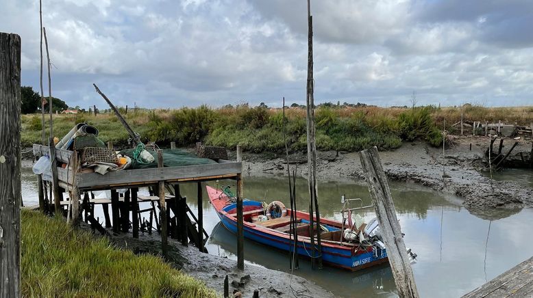 Lissabon: Fado, Feinkost und Flamingos