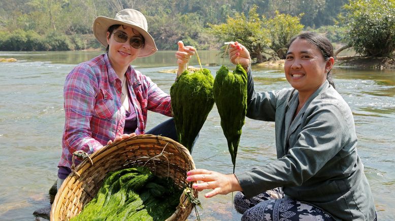 Willkommen am Mekong