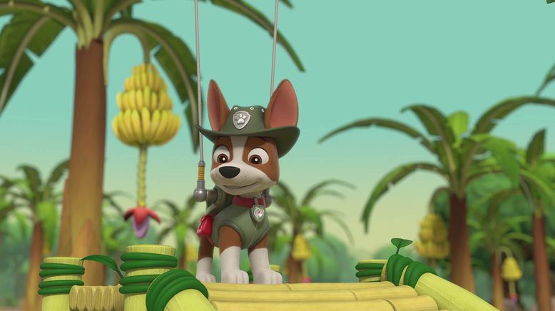 Paw Patrol: Helfer auf vier Pfoten