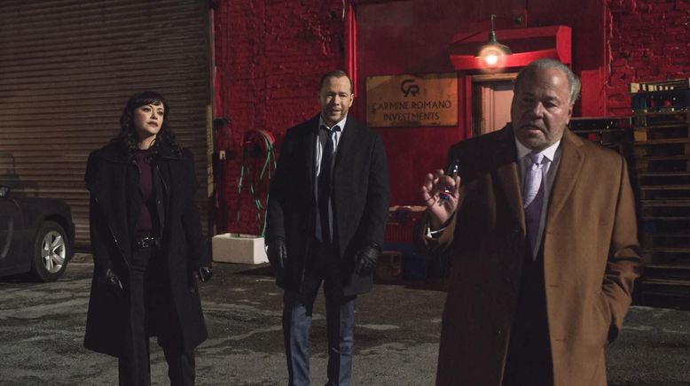 Blue Bloods - Crime Scene New York