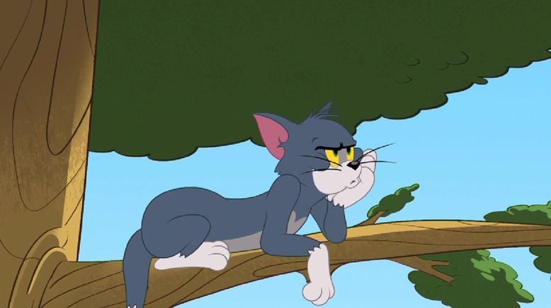 Die Tom und Jerry Show