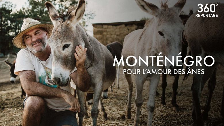 Montenegro, der Eselretter