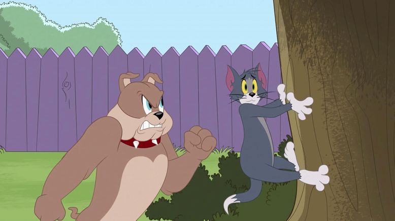 Die Tom und Jerry Show