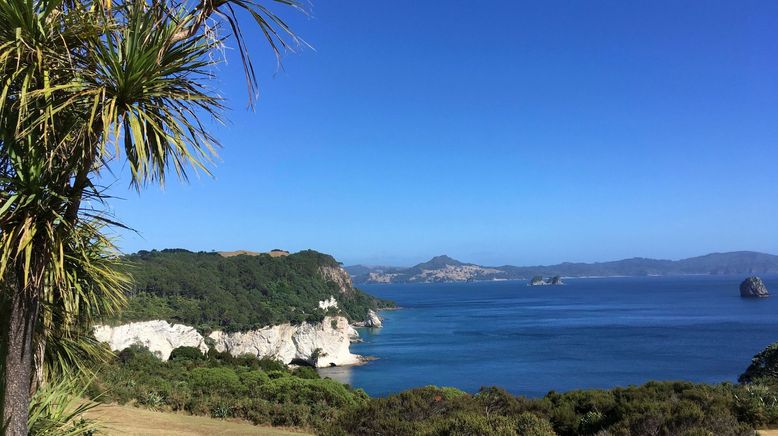 mareTV: Neuseelands schönste Bucht