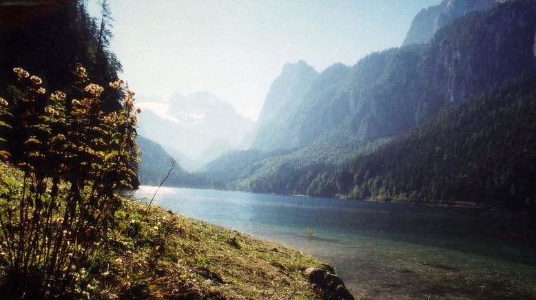 Alpenseen - Stille Schönheit