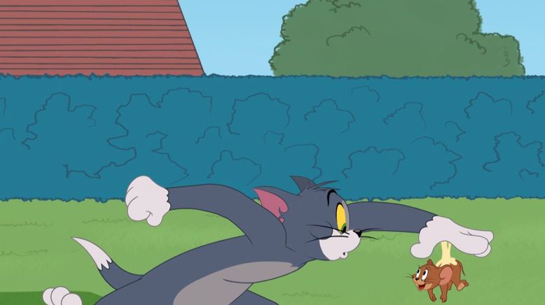 Die Tom und Jerry Show