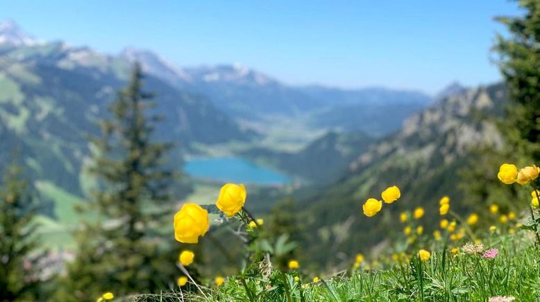 Das Tannheimer Tal - Juwel der Berge