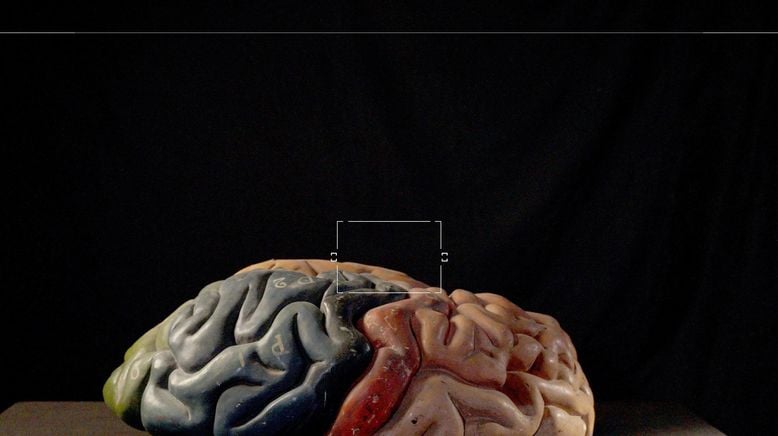 Homo animalis - Studie einer skurrilen Spezies