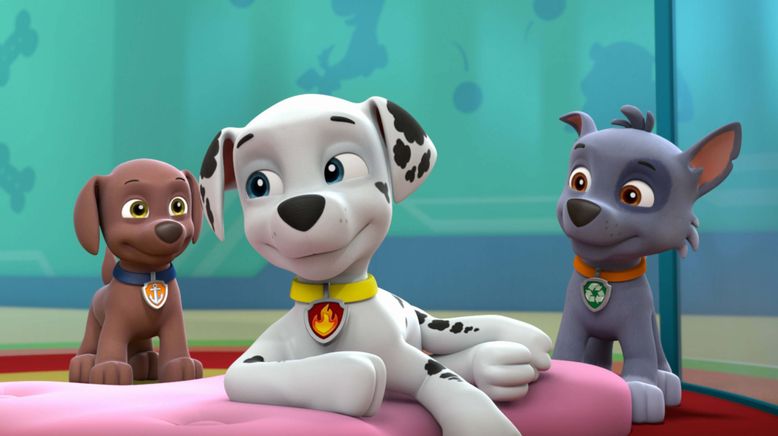 PAW Patrol - Helfer auf vier Pfoten