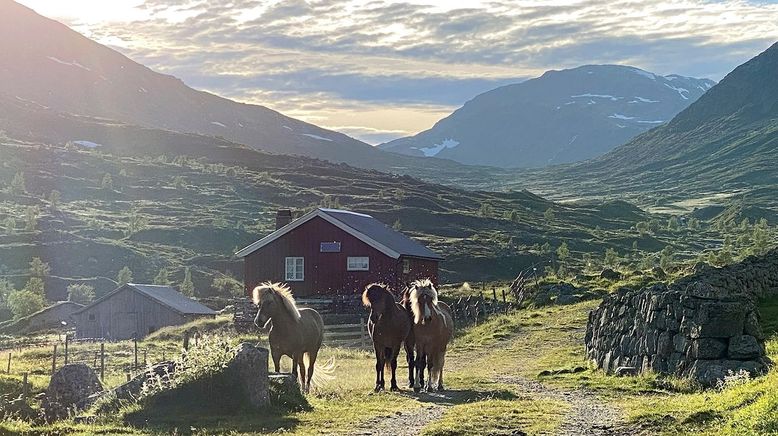 Mittsommer in Norwegen