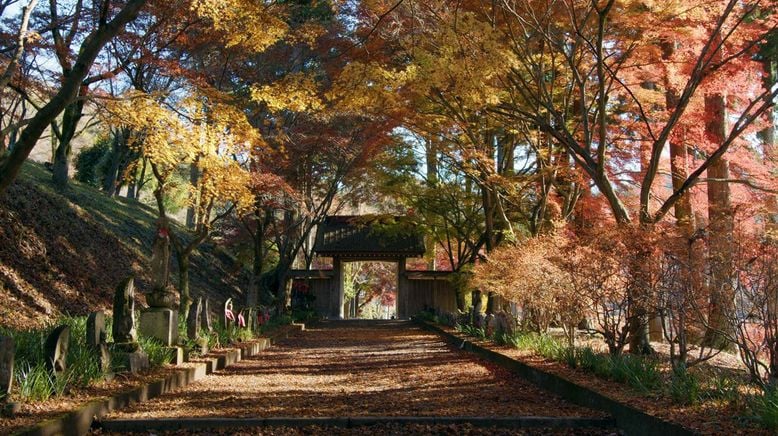 Japan im Licht der Jahreszeiten