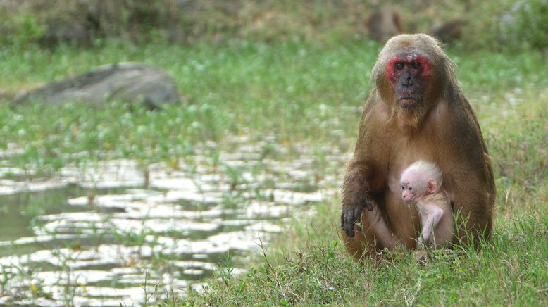 Der Mekong und seine Geheimnisse