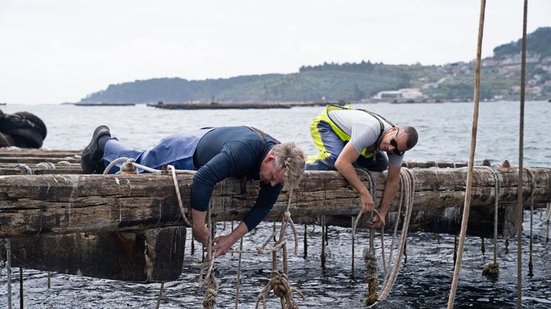 Gordon Ramsay: Kulinarische Abenteuer