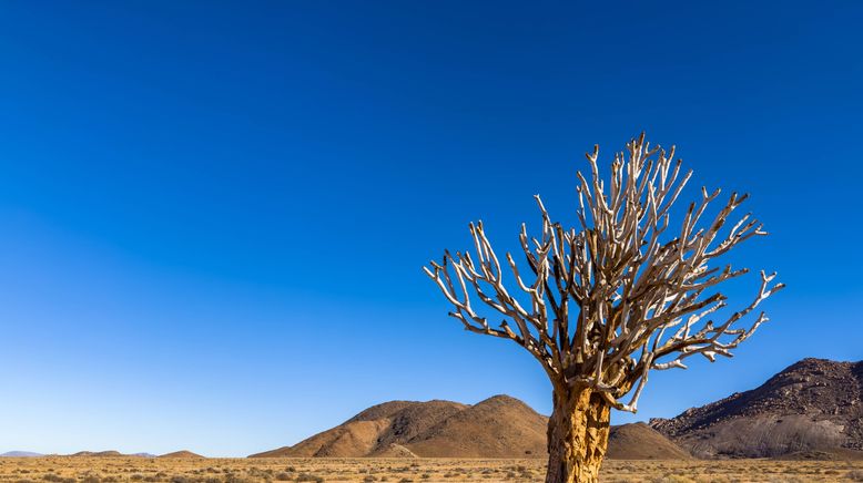 Afrika: Geheime Königreiche