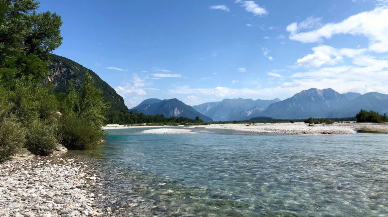 Der Tagliamento - König der Alpenflüsse