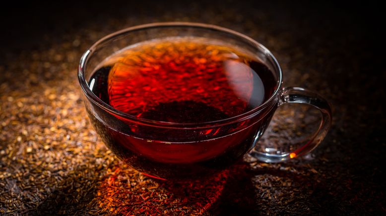 Rooibos, der rote Tee Südafrikas